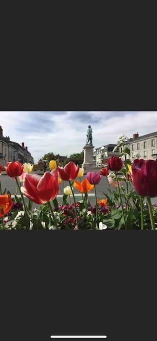 F2 Rez de Chaussée Ô meublé de Pithiviers Esterno foto